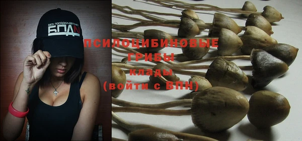 стафф Гусев