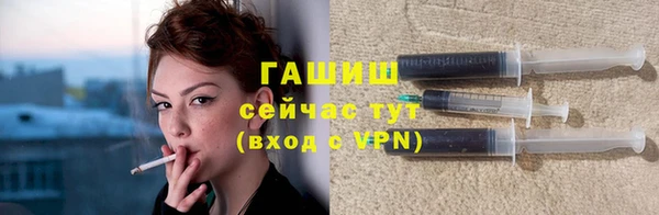 стафф Гусев