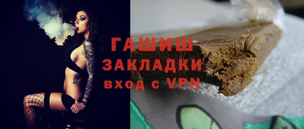 стафф Гусев