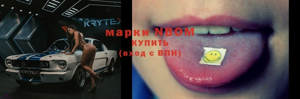стафф Гусев