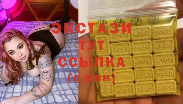 стафф Гусев