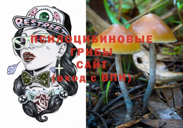 мяу мяу кристалл Гусиноозёрск
