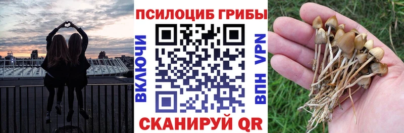 Галлюциногенные грибы Magic Shrooms  закладка  Гудермес 