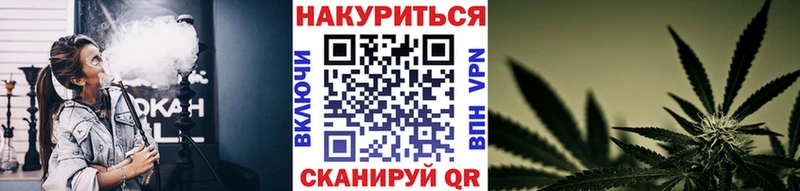 Бошки марихуана индика  цены   Гудермес 